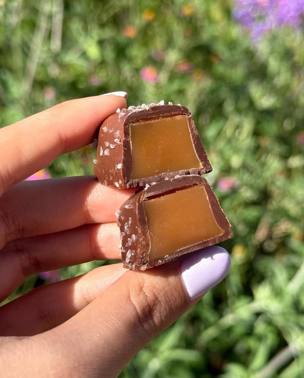 Cut dark salted caramel held by a hand with a green nature background