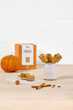 Pumpkin spice lollipops with packaging and cinnamon sticks on a wooden surface.