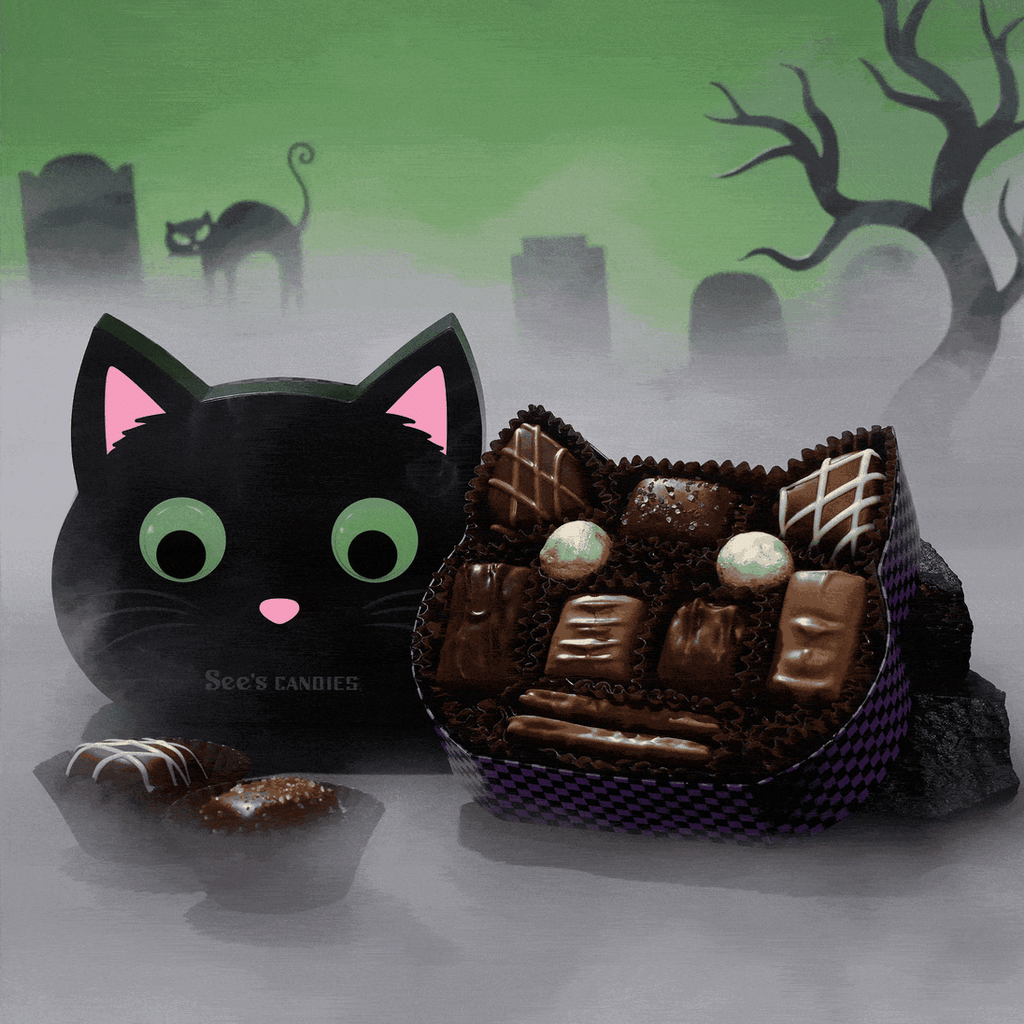 Purr-fect Treat Box