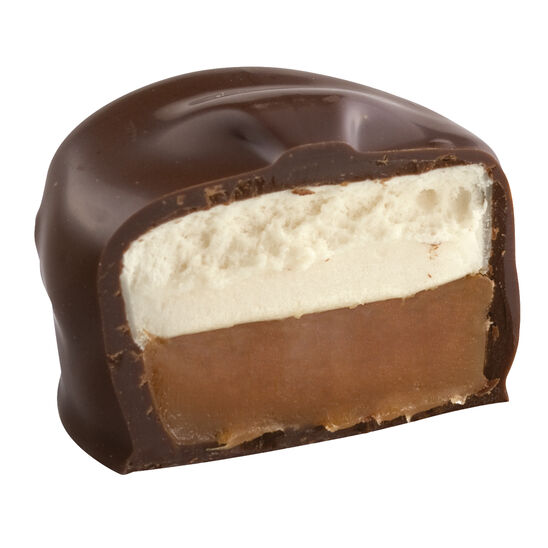 Dark chocolate-covered Scotchmallow candy with a white marshmallow and caramel filling on a white background