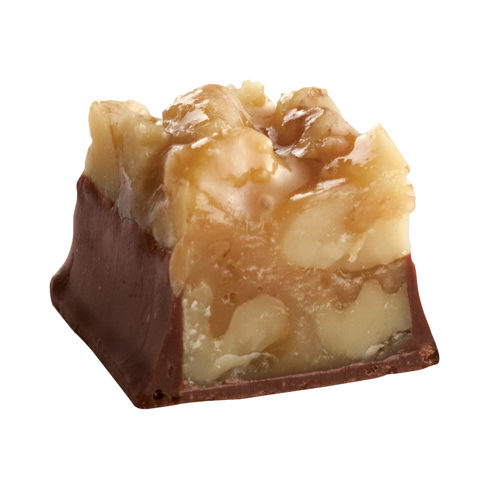 See's dark walnut square chocolate on white background