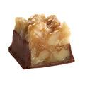 See's dark walnut square chocolate on white background