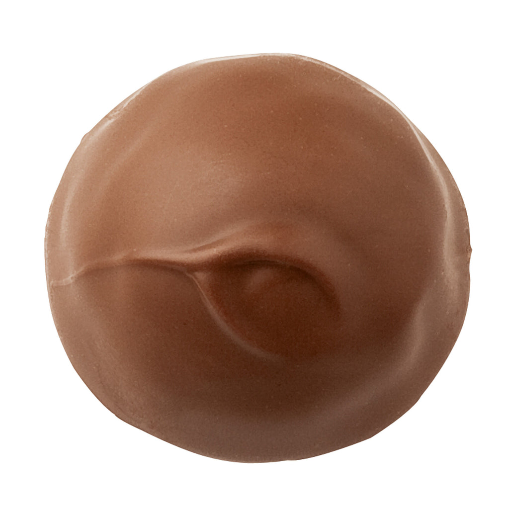 Chocolate-covered beverly chocolate with nuts/pecans on a white background top view