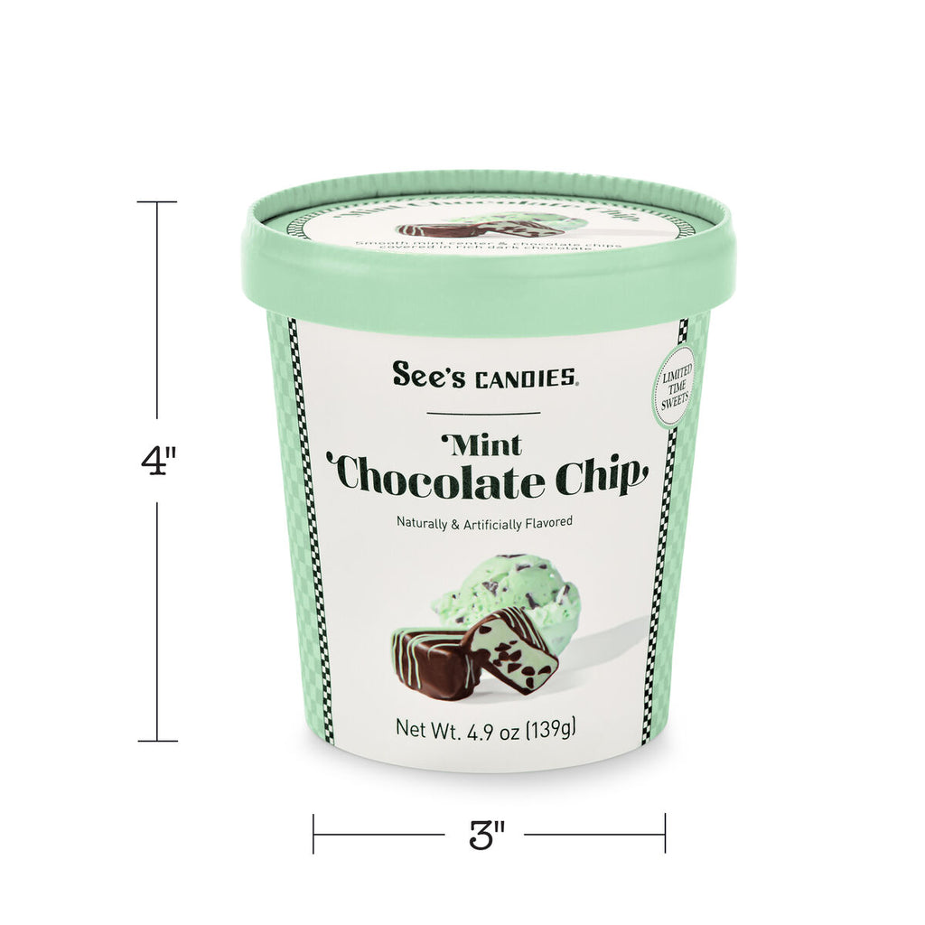 Mint Chocolate Chip Tub