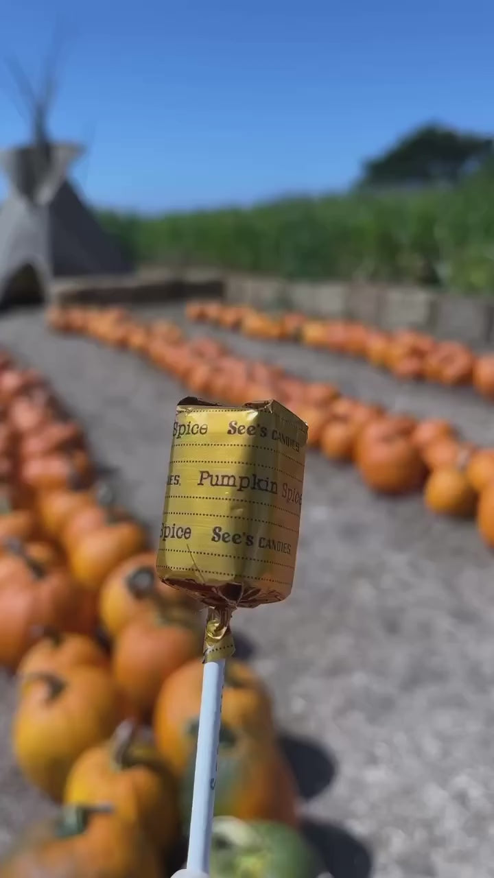 Undressing the Pumpkin Spice Lollypop