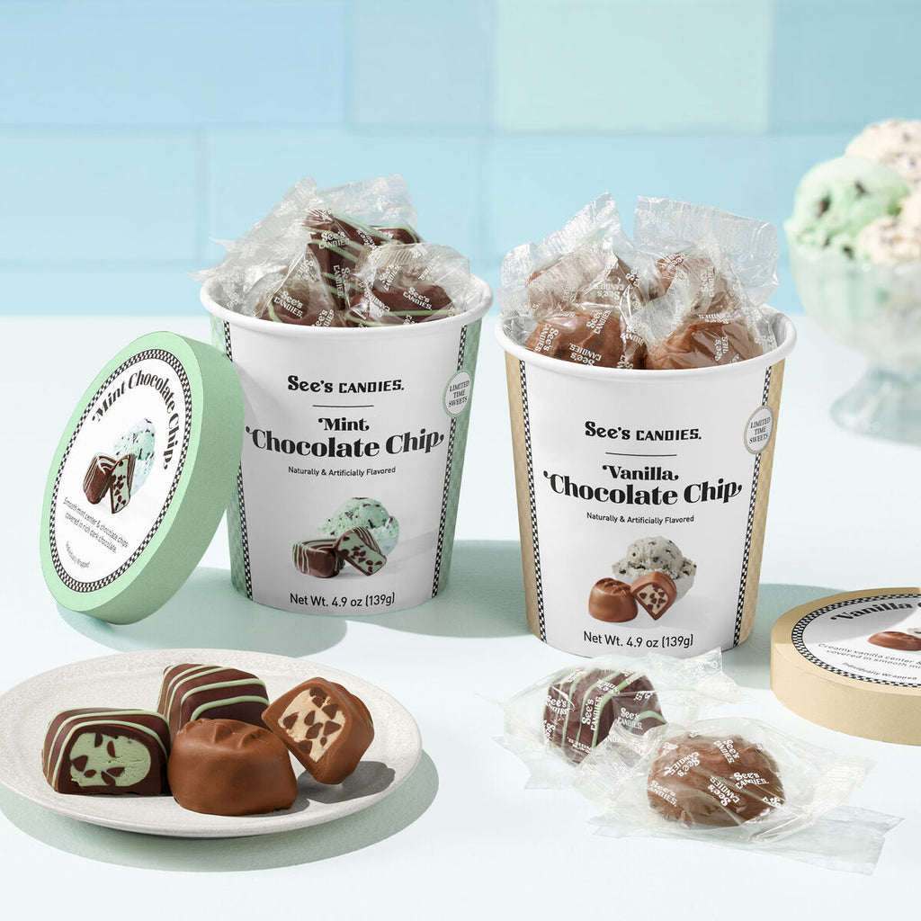 Mint Chocolate Chip Tub